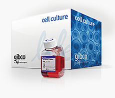 Cell culture and transfection reagents