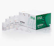 DNA &RNA Purification,quantitation & detection